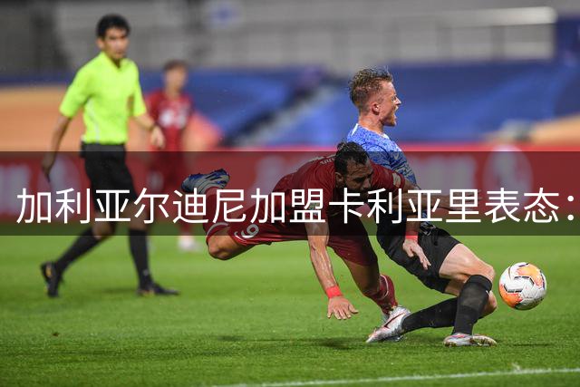 加利亚尔迪尼加盟卡利亚里表态：全力以赴助球队保级